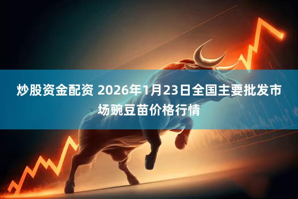 炒股资金配资 2026年1月23日全国主要批发市场豌豆苗价格行情