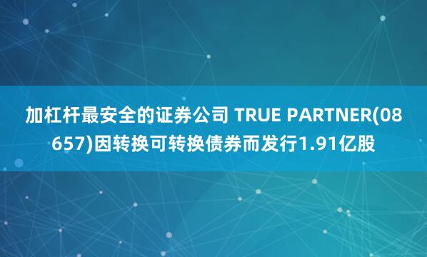 加杠杆最安全的证券公司 TRUE PARTNER(08657)因转换可转换债券而发行1.91亿股