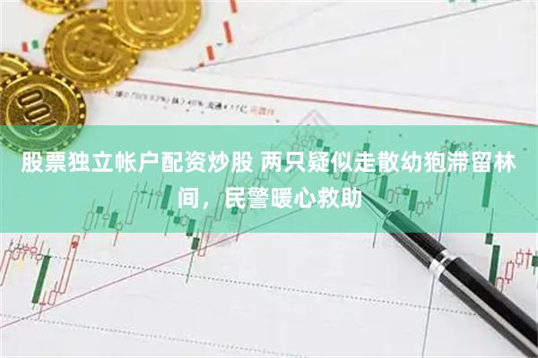 股票独立帐户配资炒股 两只疑似走散幼狍滞留林间，民警暖心救助