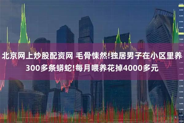 北京网上炒股配资网 毛骨悚然!独居男子在小区里养300多条蟒蛇!每月喂养花掉4000多元